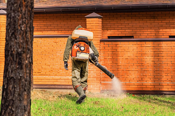 Bed Bug Clearance Verification and Documentation in Lena